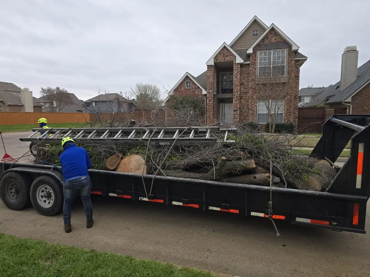 Expert Tree Pest Control with proper safety equipment in Waunakee